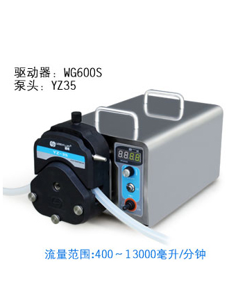 WS-600G 蠕动泵